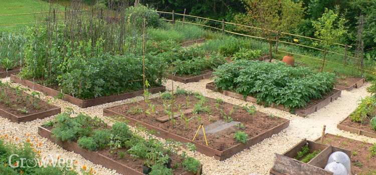 Ways To Make Your Yard more Attractive