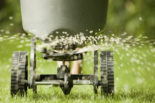 5 Ways to Have a Beautiful Lawn