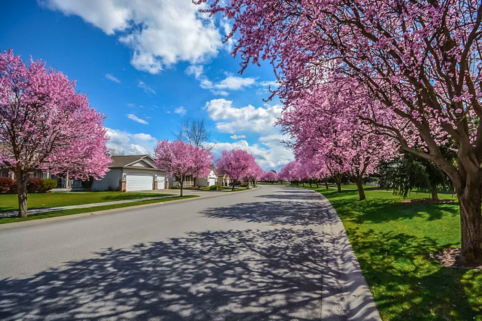 How to Streamline the Home Buying Process