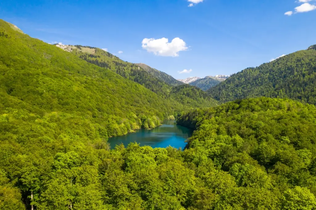 Montenegro Investment Property